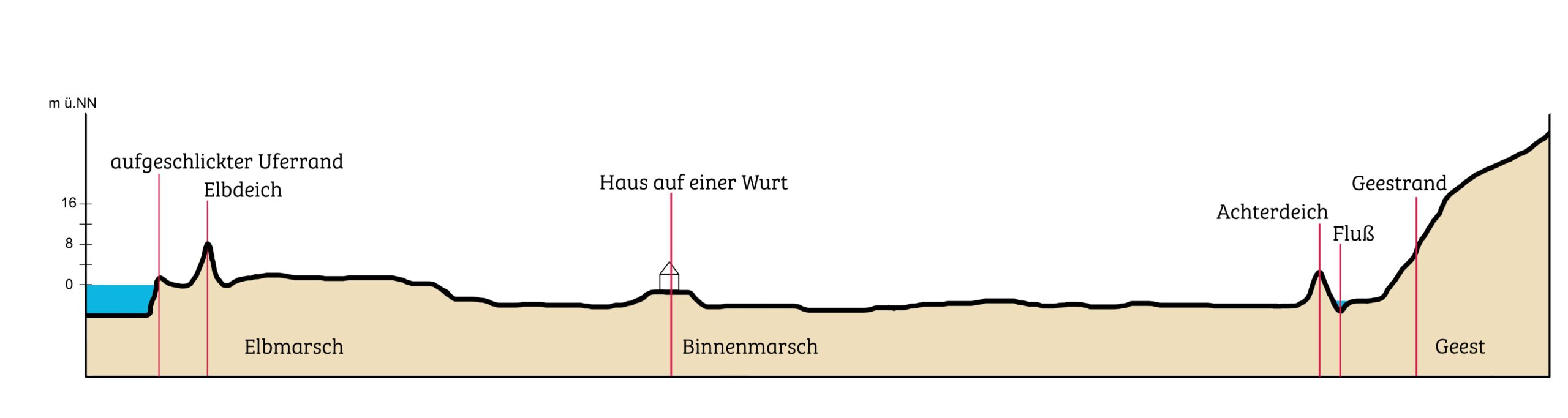 Schnitt Elbmarsch schematisch